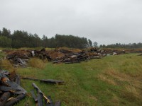 На сельхозземлях ЗАО «Калининское» была несанкционированная свалка мусора - новости ТИА
