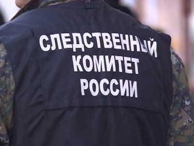 В Тверской области против подростка возбудили уголовное дело - новости ТИА