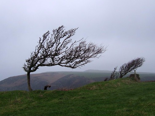 Фото: Сeridwen / geograph.org.uk <p>Фото: Сeridwen / geograph.org.uk</p>