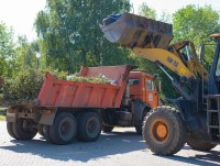 15 сентября в Твери пройдет масштабный субботник - Новости ТИА