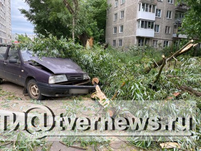 В Твери на машину рухнуло дерево - новости ТИА