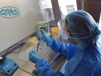 В центре В.П. Аваева сообщают об отрицательных результатах исследований на коронавирус - Новости ТИА