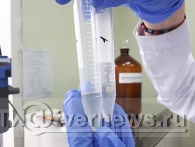 Тверская лаборатория нашла кишечную палочку в сметане и масле - Новости ТИА