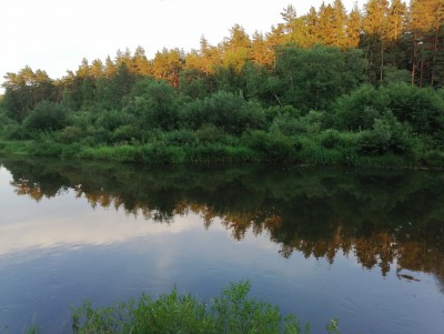 В Тверской области в реке Дойбица обнаружили тело человека - Новости ТИА