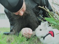 В монастыре в Тверской области кролика Зоя выпустили из "самоизоляции" - новости ТИА