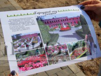 В 2016 году в тверском городском саду появится уникальный Парк роз - Новости ТИА