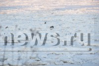 В Конаковском районе три человека на снегоходах провалились под лёд - новости ТИА