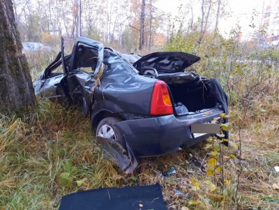 В Тверской области машина вылетела в кювет и врезалась в дерево - новости ТИА