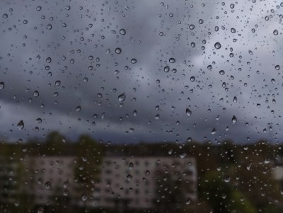 Тверские синоптики предупреждают о грозе с ливнем и штормовым ветром - Новости ТИА
