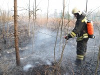 В Тверской области продлили запрет на посещение лесов - Новости ТИА