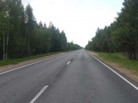 Столкновение иномарки с лосем в Тверской области снял видеорегистратор - новости ТИА