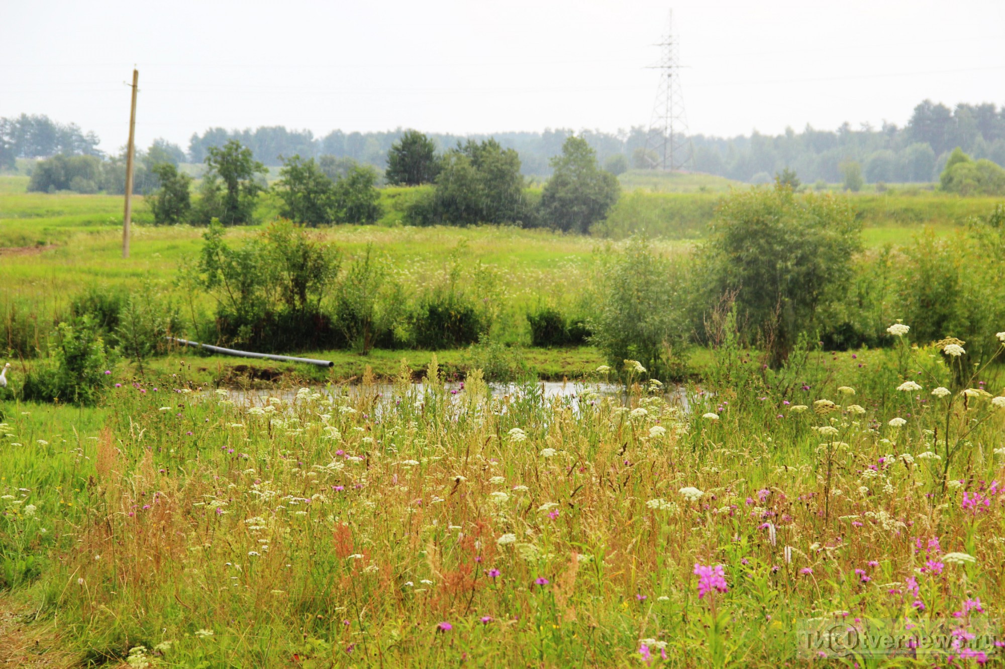 Захарьино новгородский район фото