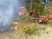 В Тверской области зафиксирован один лесной пожар - Новости ТИА