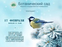 В Твери пройдёт конкурс на лучшую птичью кормушку - Новости ТИА