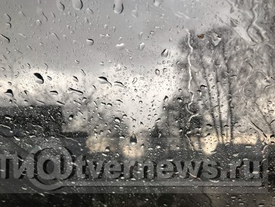 Синоптики прогнозируют дождь с грозой в воскресенье в Тверской области - Новости ТИА