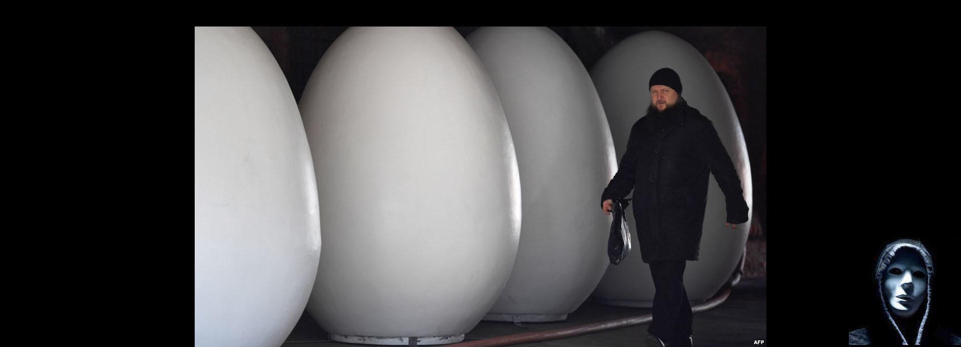 Громадное яйцо. Яйцо большое. Самое большое яйцо. Самое большое яйцо в мире.