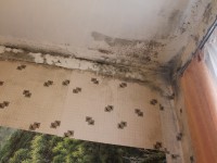 Тверские активисты ОНФ добились проведения ремонта муниципальной квартиры в Калязине - новости ТИА