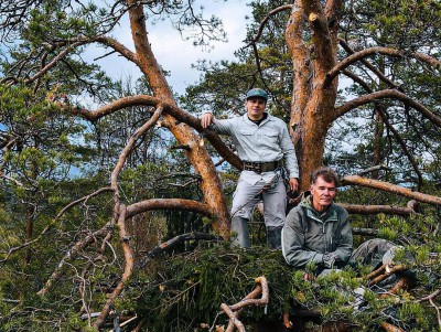Путешественник и орнитолог "свили" гнездо для беркута на тверских болотах - новости ТИА