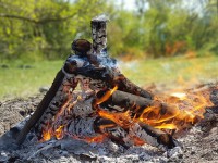В Тверской области загорелся лес - Новости ТИА