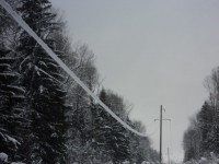 В Тверской области мокрый снег налипает на провода - Новости ТИА