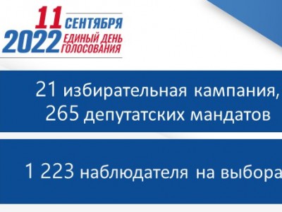 За ходом голосования в Тверской области намерены следить 1 223 наблюдателя - новости ТИА