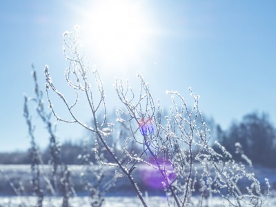 Тверь почти побила 106-летний температурный рекорд по морозам  - Новости ТИА