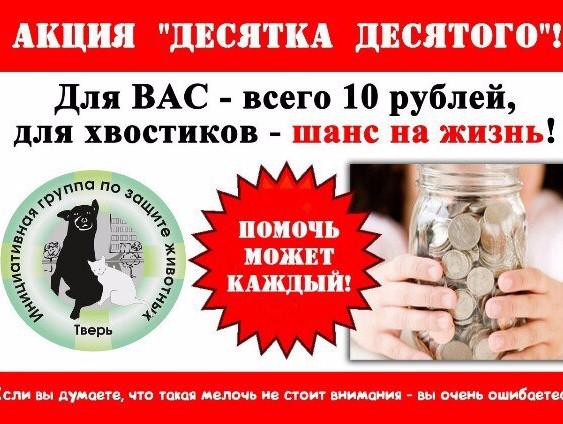 <strong>Автор: ТИА</strong><p></p>