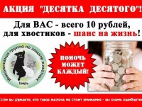 В Твери проходит ежемесячная благотворительная акция "Десятка десятого" - Новости ТИА