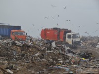 Во Ржеве пройдёт митинг против строительства мусороперерабатывающего завода  - Новости ТИА