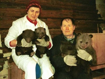 Основатель центра спасения медвежат выпустил новую книгу - Новости ТИА