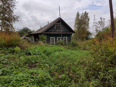 Тверская область на первом месте в России по числу вымерших деревень  - новости ТИА