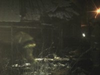 В Тверской области в заброшенном доме сгорели три человека - Новости ТИА