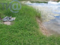 Десятилетний мальчик утонул в пруду в Торжокском районе - Новости ТИА