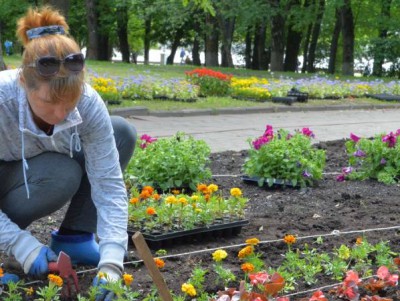 МБУ "Зеленстрой" нуждается в рабочих для покосов травы и высадки цветов - Новости ТИА