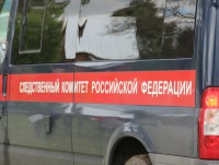 Жителя Тверской области будут судить за убийство матери своей знакомой  - Новости ТИА