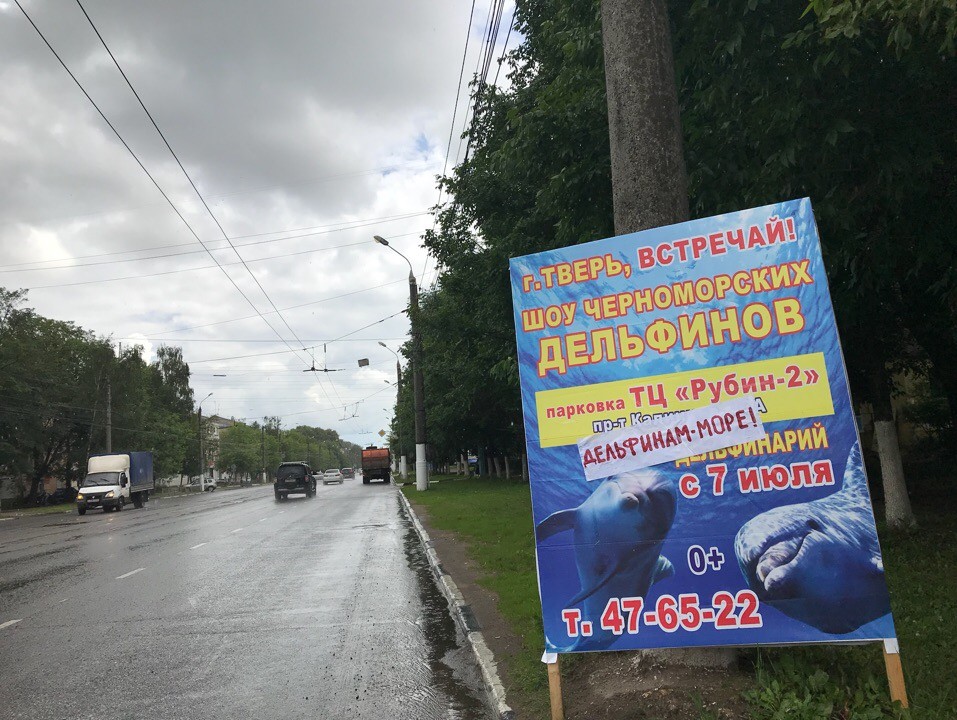 <strong>Автор: ТИА</strong><p></p>