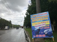 "Дельфинам - море!": зоозащитники заклеили рекламу дельфинария плакатами против издевательств над животными - Новости ТИА