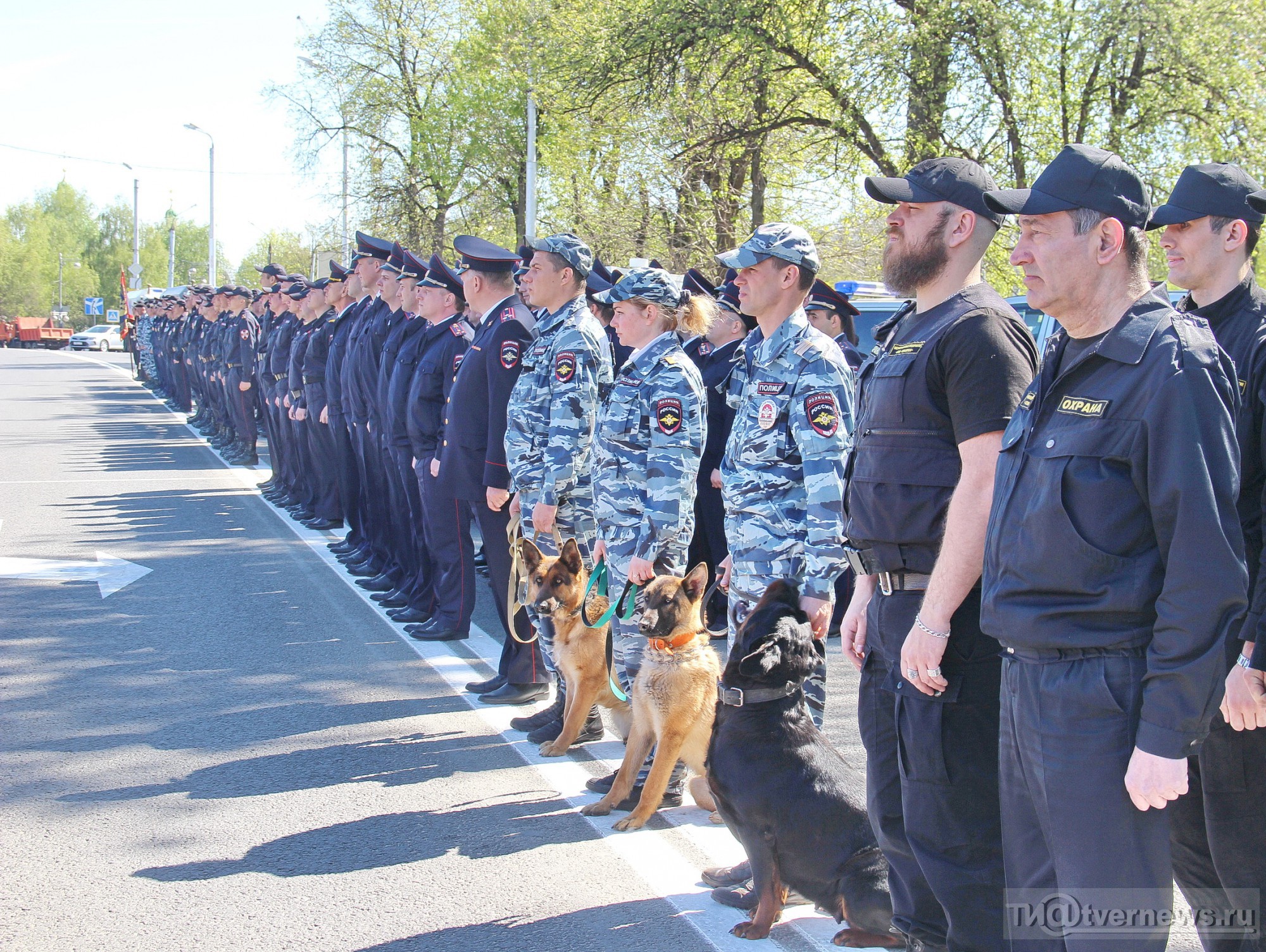 <strong>Автор: ТИА</strong><p></p>
