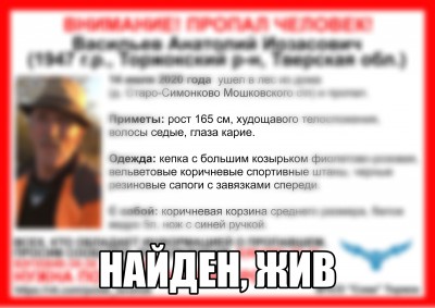Спустя шесть дней нашли пропавшего в лесу Тверской области мужчину - новости ТИА