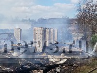 В Тверской области сгорели сараи вместе с животными - Новости ТИА