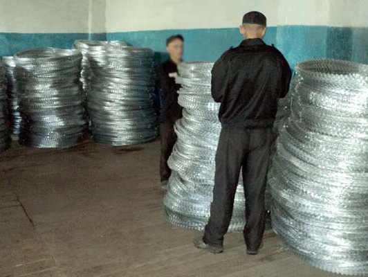 <strong>Автор: ТИА</strong><p></p>