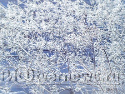 Начало декабря будет по-зимнему снежным и морозным - Новости ТИА