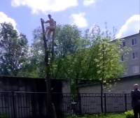 В Твери полицейским пришлось снимать голого мужчину с дерева - Новости ТИА