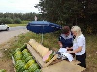 В Твери у нелегальных уличных торговцев отобрали продукцию и весы - Новости ТИА