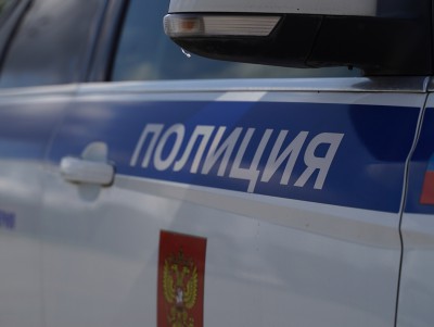 В Тверской области машина врезалась в лося, водитель получил травмы - новости ТИА