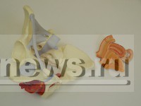 Тверские врачи помогают женщинам справиться с деликатной проблемой, с которой в течение жизни сталкивается каждая пятая россиянка - новости ТИА