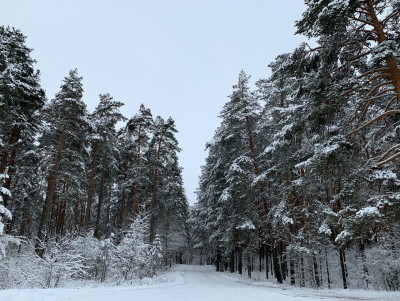 В Тверской области синоптики прогнозируют ночные морозы до -20° - Новости ТИА