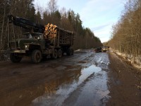 В результате столкновения ВАЗа с лесовозом погиб человек - Новости ТИА