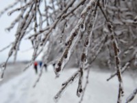 29 ноября в Тверской области пройдёт ледяной дождь - новости ТИА