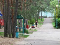 Студент московского вуза развратил в детском лагере под Тверью ребёнка и выложил порнографические фото в Интернет - Новости ТИА